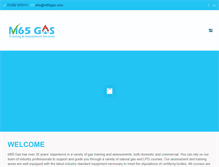 Tablet Screenshot of m65gas.com